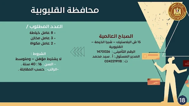 النشرة القومية للتشغيل لشهر مارس 2024