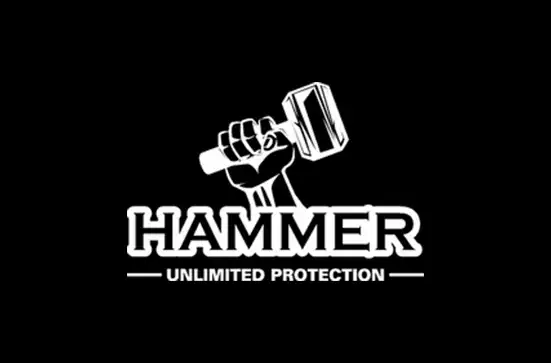 وظائف شركة Hammer protection - داخل فروع القاهرة